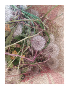 Pustekuchen in Altdobritz