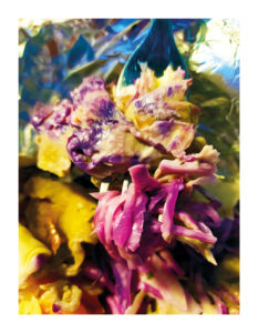 vielleicht werde ich noch schöner