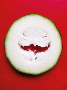 Der lachende Zucchini aus Brandenburg