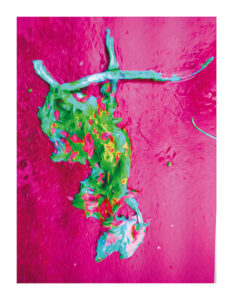 Eine Flat Rat in Paris